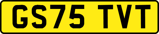 GS75TVT