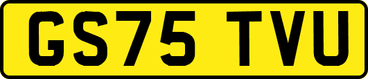 GS75TVU