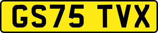 GS75TVX