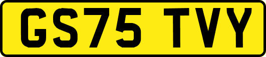 GS75TVY