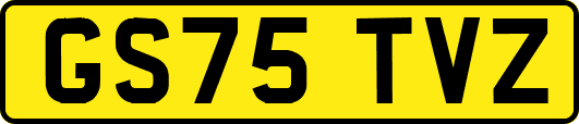 GS75TVZ