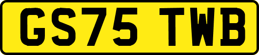 GS75TWB