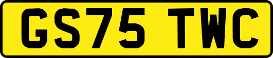 GS75TWC