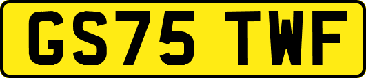 GS75TWF