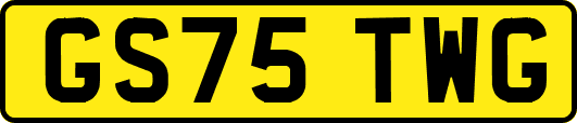 GS75TWG