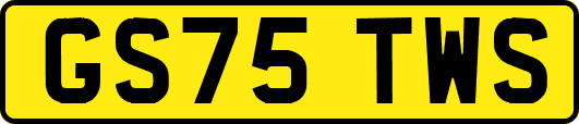 GS75TWS