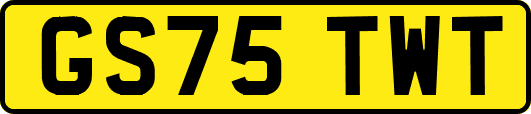 GS75TWT