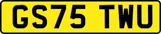 GS75TWU