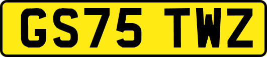 GS75TWZ