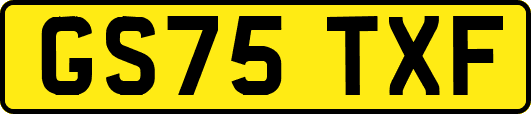 GS75TXF