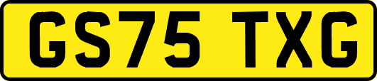 GS75TXG