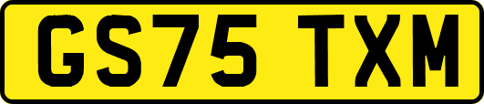 GS75TXM