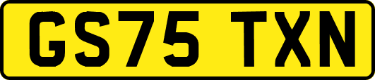 GS75TXN