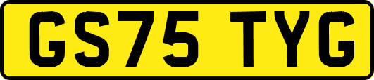 GS75TYG