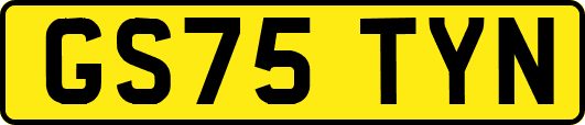 GS75TYN