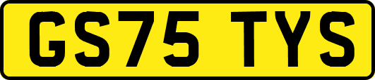 GS75TYS