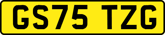 GS75TZG