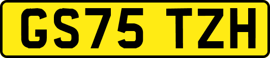 GS75TZH