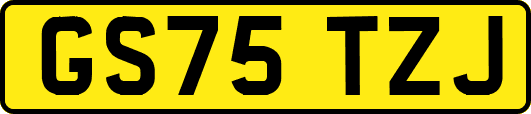 GS75TZJ