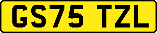 GS75TZL
