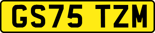 GS75TZM