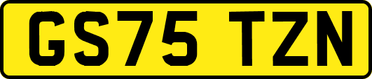 GS75TZN