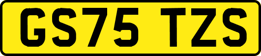 GS75TZS