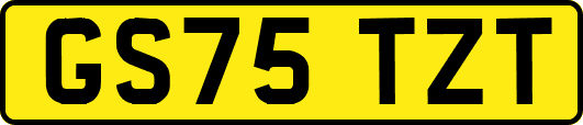 GS75TZT