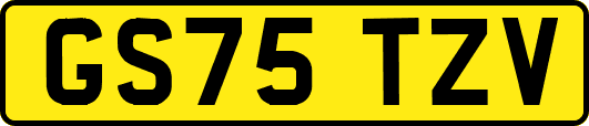 GS75TZV