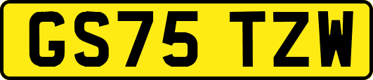 GS75TZW