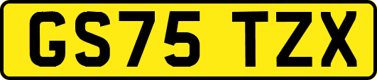 GS75TZX