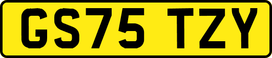 GS75TZY