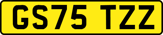 GS75TZZ