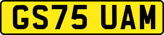 GS75UAM