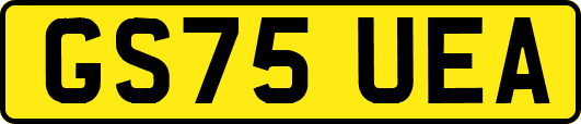 GS75UEA