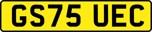 GS75UEC