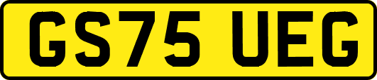 GS75UEG