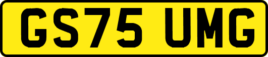 GS75UMG
