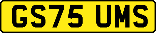 GS75UMS