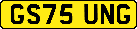 GS75UNG