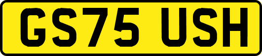 GS75USH