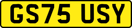 GS75USY
