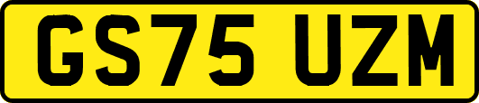 GS75UZM
