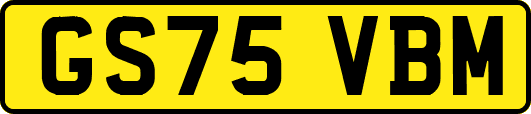 GS75VBM