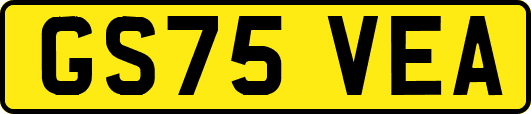 GS75VEA