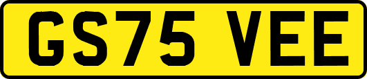 GS75VEE