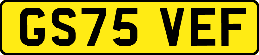 GS75VEF