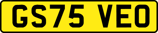 GS75VEO