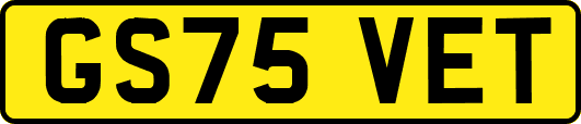 GS75VET