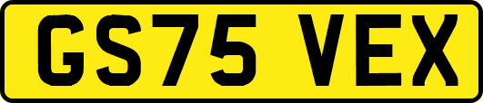 GS75VEX